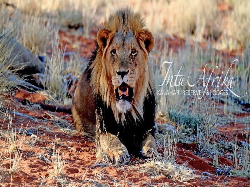 Camelthorn Kalahari Lodge Hoachanas 外观 照片